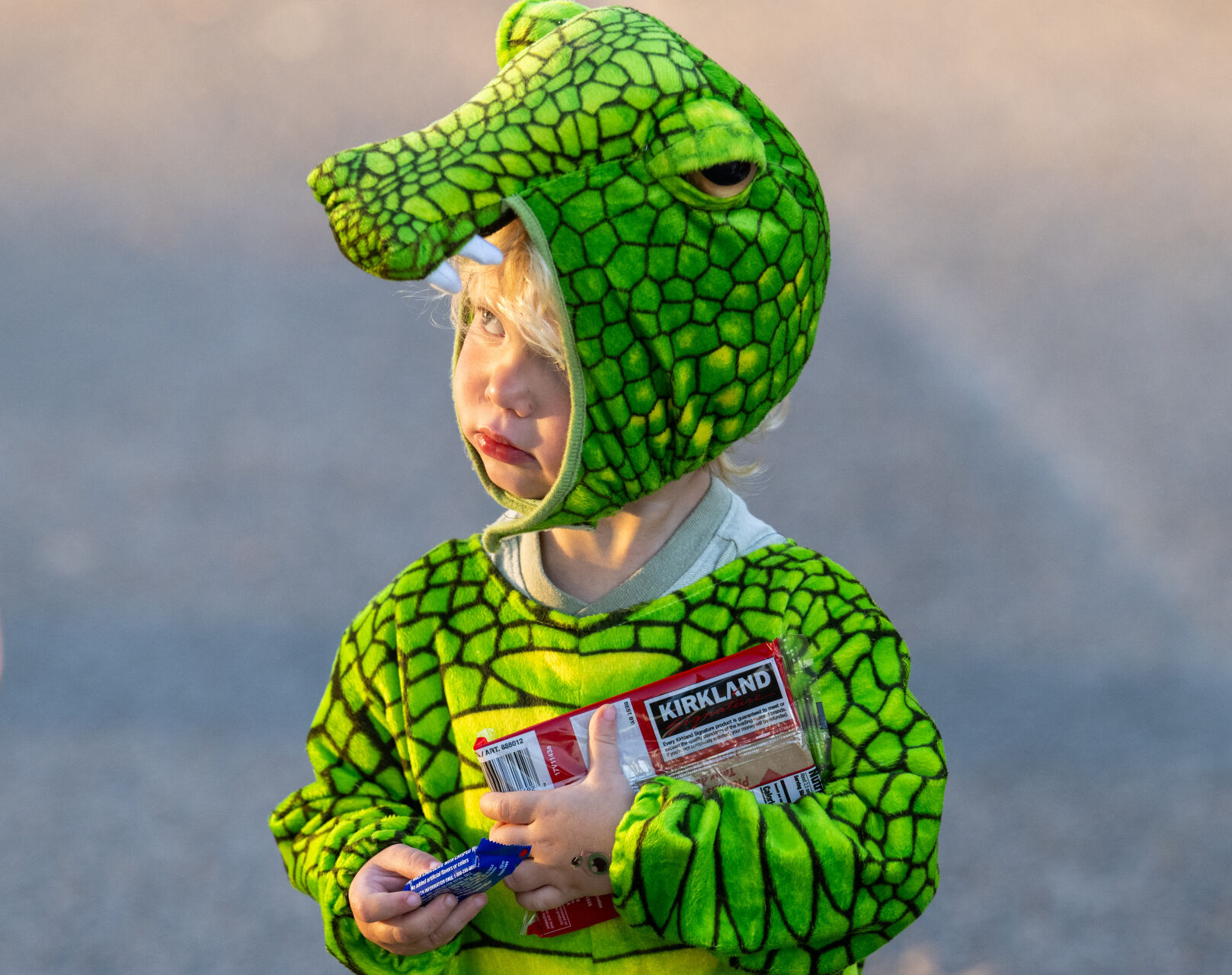 BR.wftrunktreatxtra.102324_1960 MJ.JPG